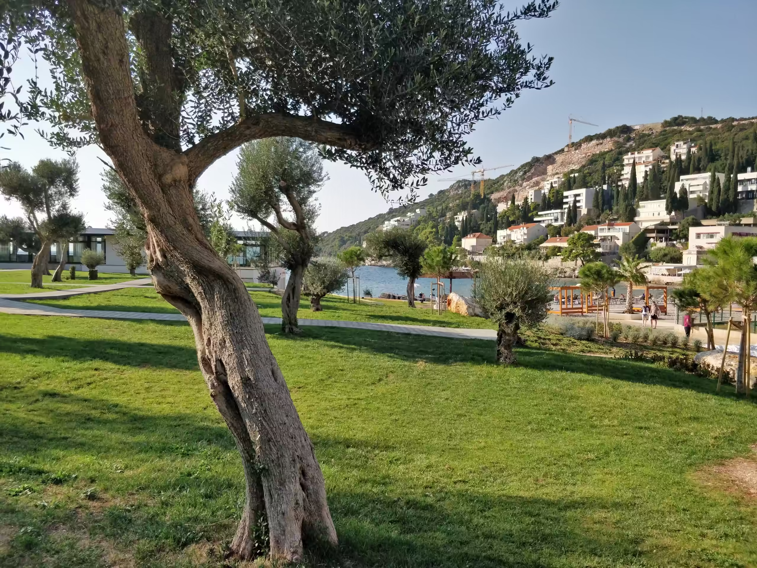 Lapad neighborhood view in Dubrovnik